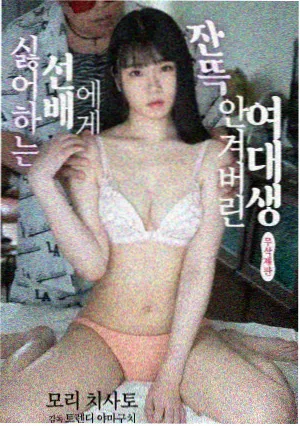 剧集时区旅人封面图